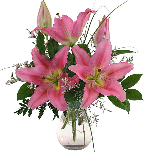 Stargazer Delight | Flowers To Ontario Canada Delivery